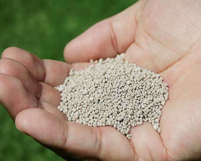 化肥糖心视频免费看