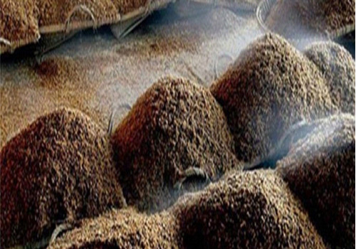 发酵糖心视频免费看