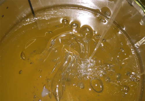 胶水糖心视频免费看