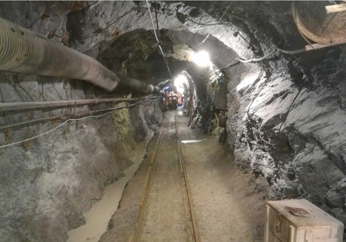 采矿糖心视频免费看