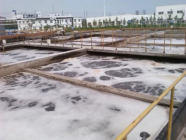 水池糖心视频免费看