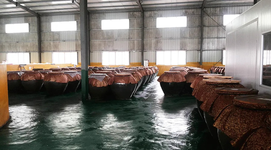 发酵糖心视频免费看