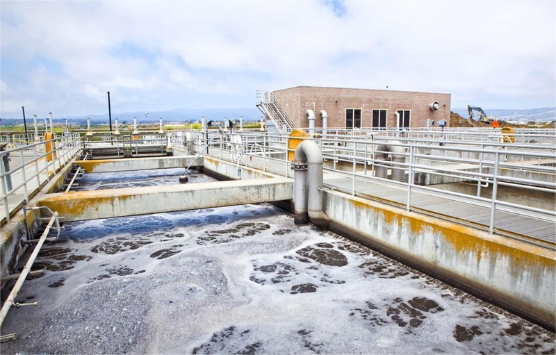 水性糖心视频免费看