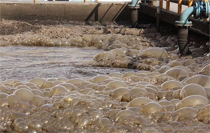 有机硅糖心视频免费看