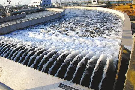 污水糖心视频免费看