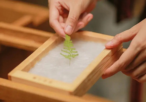 制浆糖心视频免费看